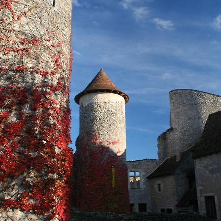 Chateau D'Ingrandes Ingrandes  Exterior foto