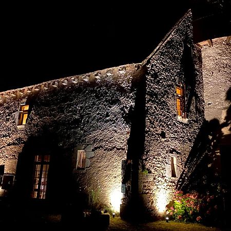 Chateau D'Ingrandes Ingrandes  Exterior foto