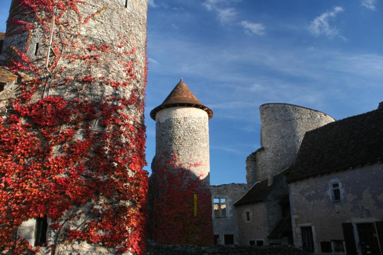 Chateau D'Ingrandes Ingrandes  Exterior foto