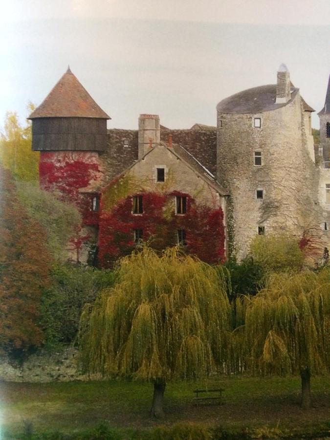 Chateau D'Ingrandes Ingrandes  Exterior foto