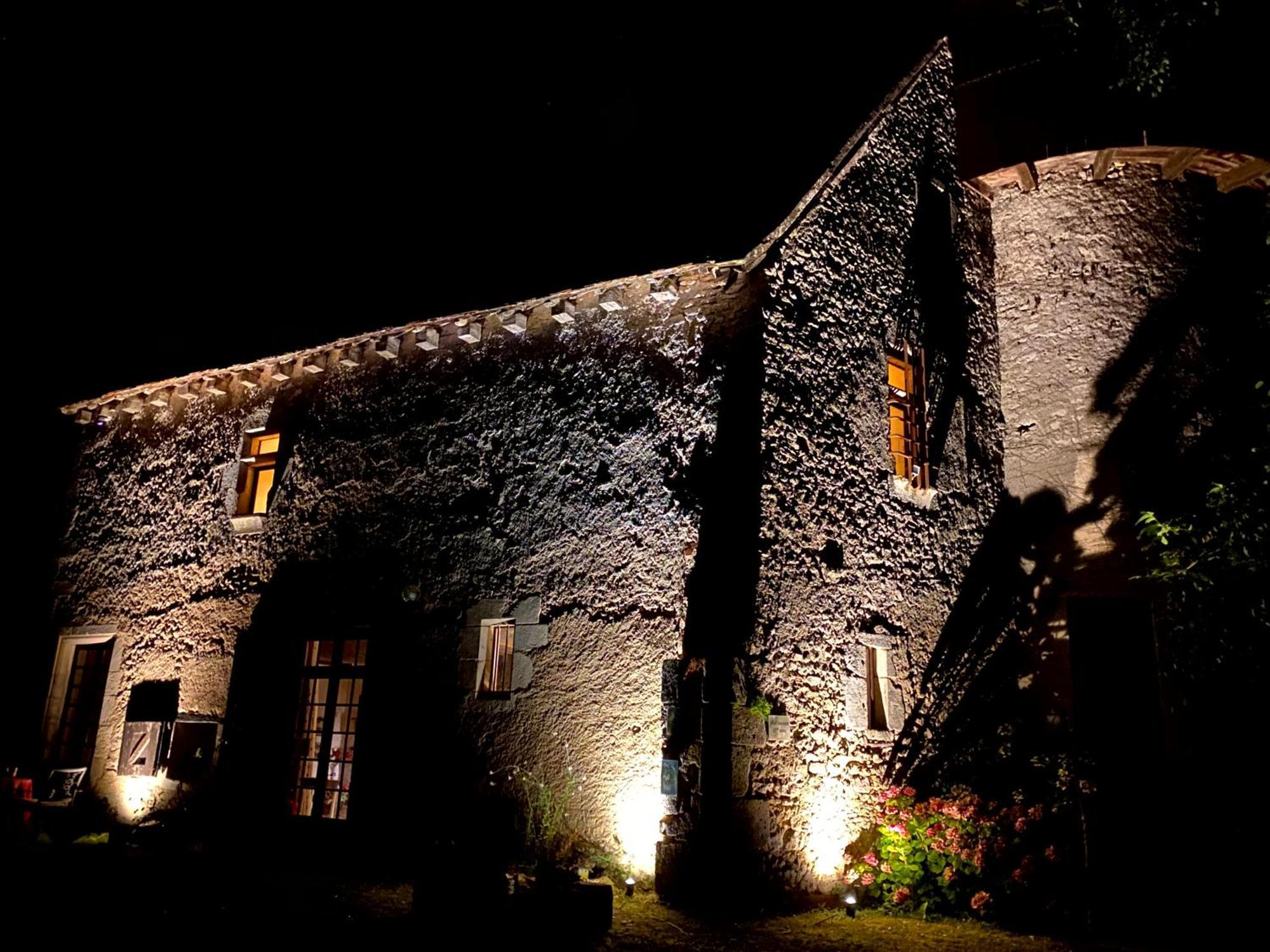 Chateau D'Ingrandes Ingrandes  Exterior foto